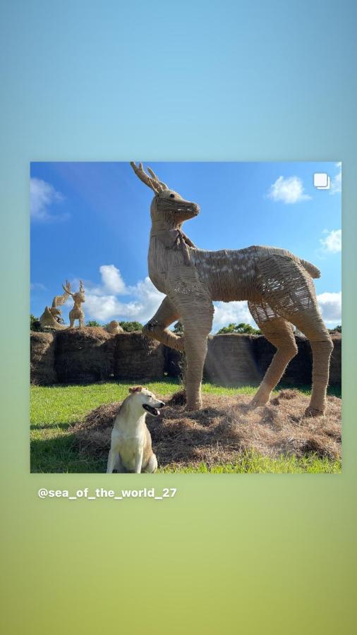 海中天旅店 Sea Of The World B&B Kenting Eksteriør billede