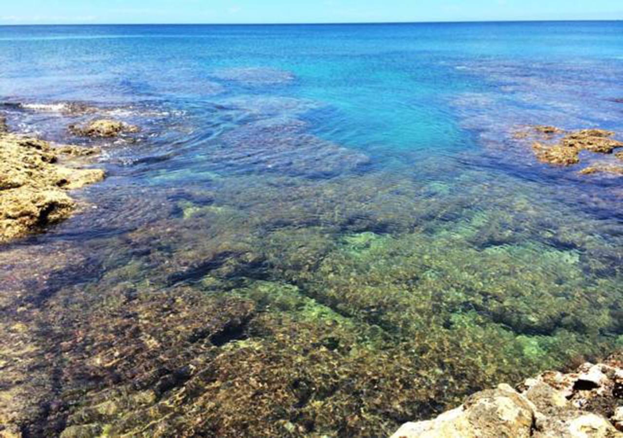 海中天旅店 Sea Of The World B&B Kenting Eksteriør billede